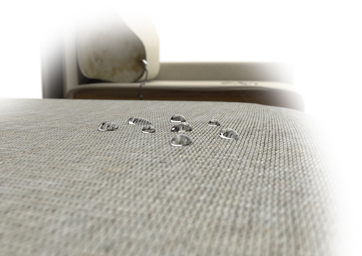 Maintenance 3 years iProteqt Stain Insurance Textiles - Sofa of 5 Dining room chairs Dimehouse LxWxH 10x10x10 Atmospheric photo, front view