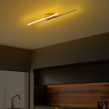 Ceiling lamps - Ceiling lamp Gold Metal Hawk - Dimehouse