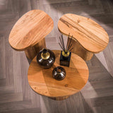 Coffee tables - Round coffee table set of 3 Adam robust acacia wood - Dimehouse