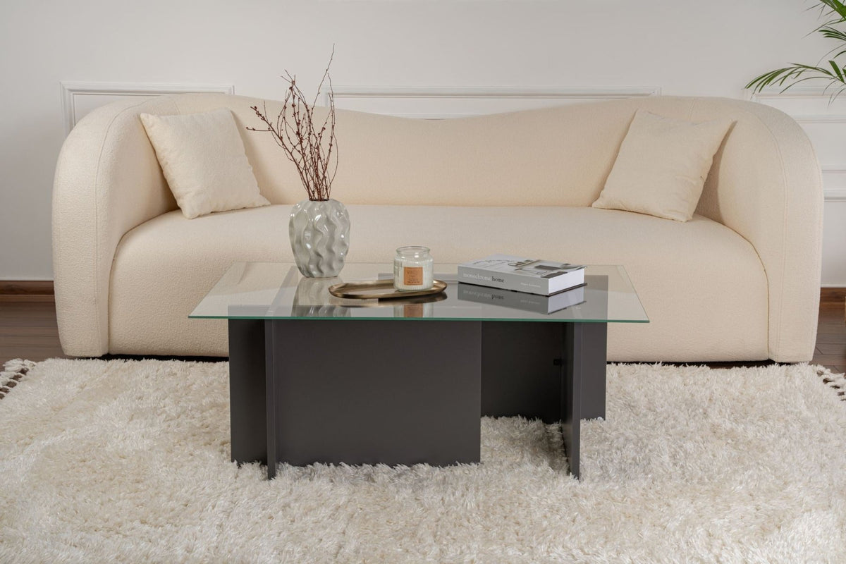 Coffee Tables - Rectangular Modern Coffee Table Vetroni Anthracite - Glass - 105x65 cm - Dimehouse