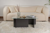 Coffee Tables - Rectangular Modern Coffee Table Vetroni Anthracite - Glass - 105x65 cm - Dimehouse