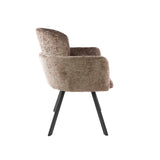 Dining room chairs - Set of 2 Modern dining room chairs Luma Hoven Rich Champagne - Dimehouse