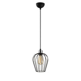 Hanging lamps - Hanging lamp 1 - light 20 cm Black Metal Predator - Dimehouse