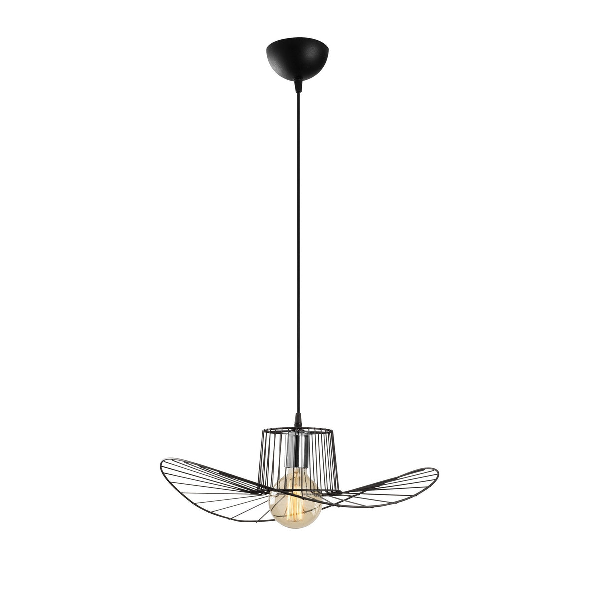 Hanging lamps - Hanging lamp 1 - light Black Metal Predator - Dimehouse